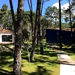 Colares Σίντρα