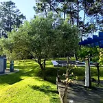 Colares Σίντρα
